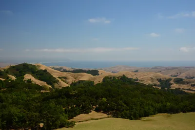 DSC_2486 (Large).JPG